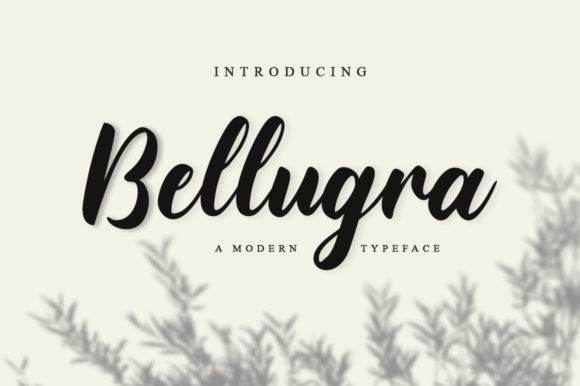 Bellugra: The Playful Script Font for Campaigns That Pop
