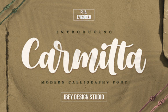 Carmitta Font Review: A Playful Script for Web Design