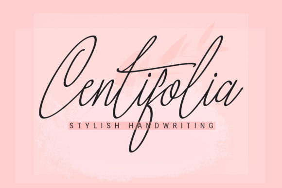 Centifolia: The Script Font That Elevates Campaign Visuals