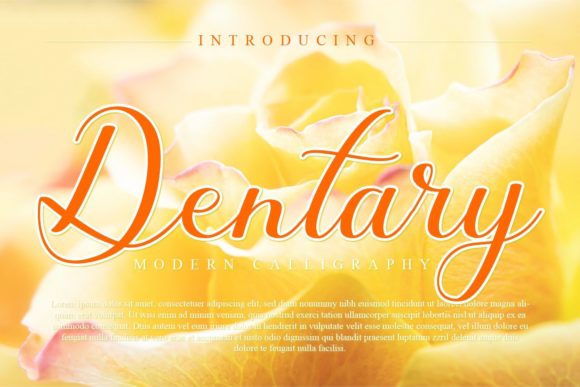 Dentary: The Script Font That Stops the Scroll