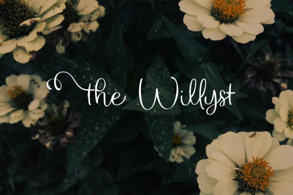 Elevating Editorial Design with The Willyst Typeface