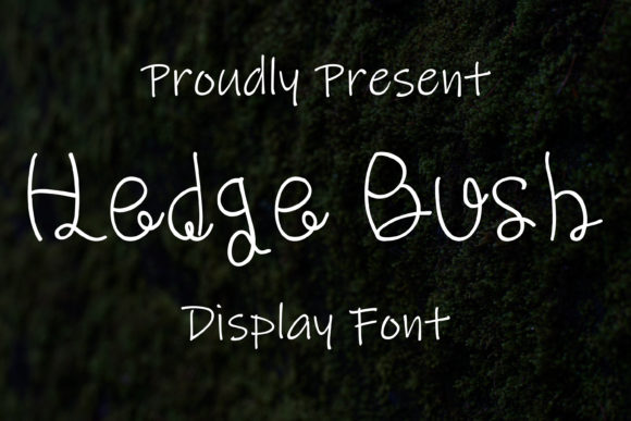 Hedge Bush: A Script Font for Modern Editorial Design