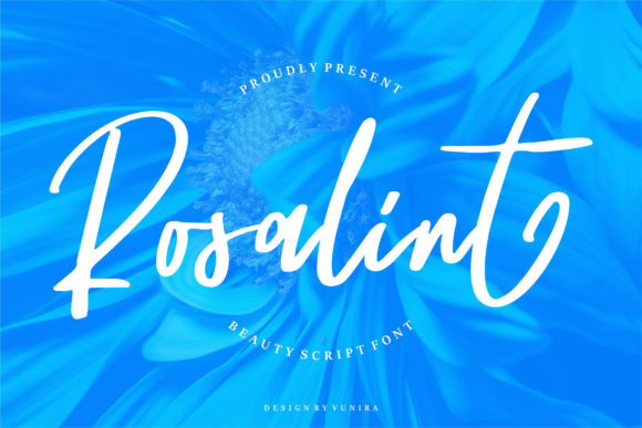 Rosalint Font Review: A Whimsical Script for Brand Identity
