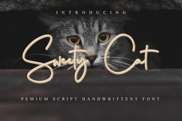 Sweety Cat: A Refined Script Typeface for Editorial Design