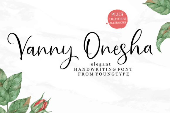 Vanny Onesha: A Designer's Honest Review for Branding