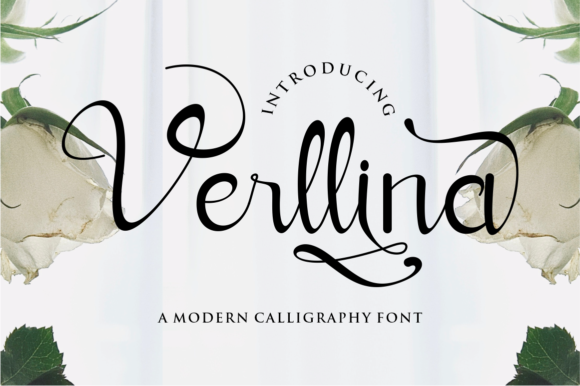 Verllina: A Designer's Honest Review for Branding