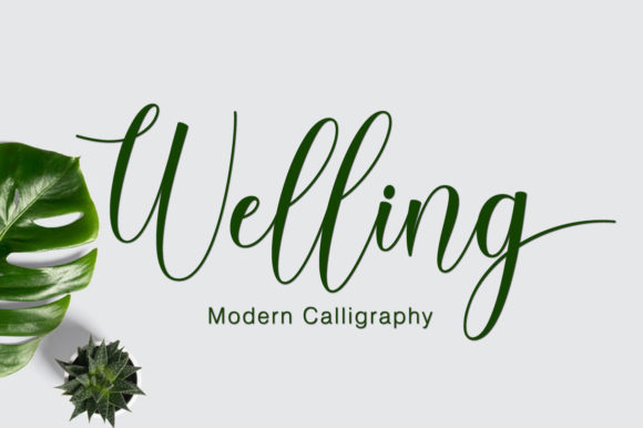 Welling: The Script Font That Stops the Scroll