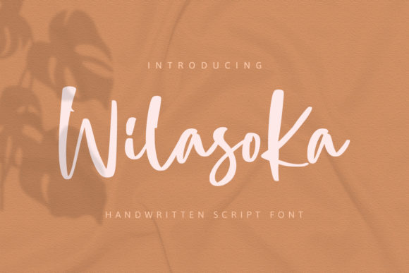 Wilasoka: The Playful Script Font for Handmade Brands
